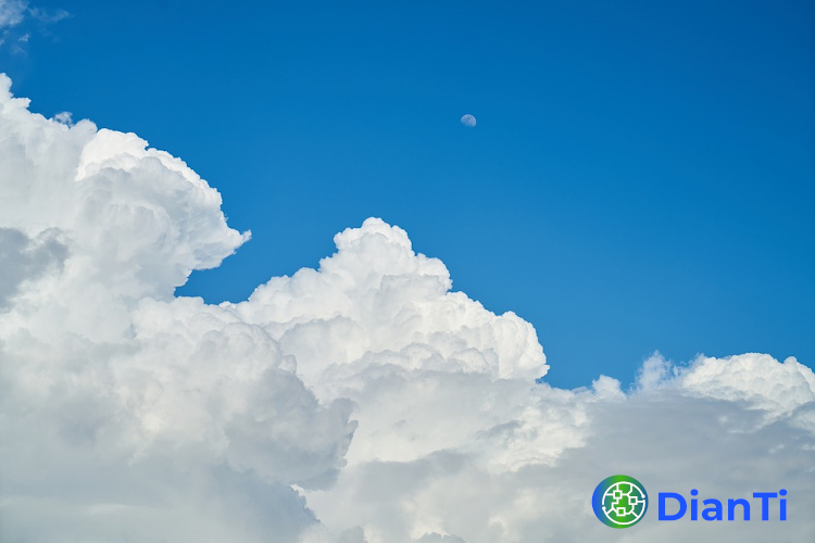 Sinivalkoista osaamista.